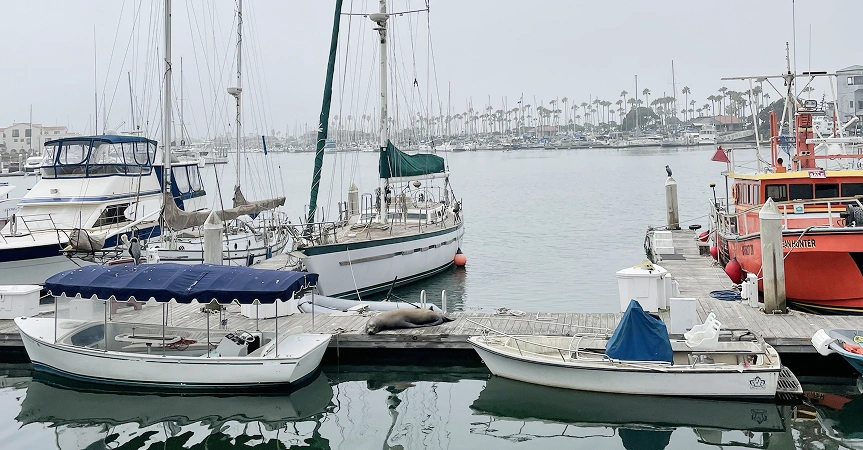Boat-Needs-Repairs