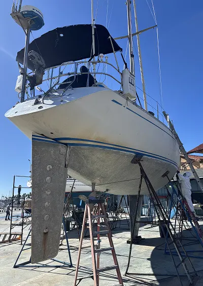 Why Choose Derecktor Ventura